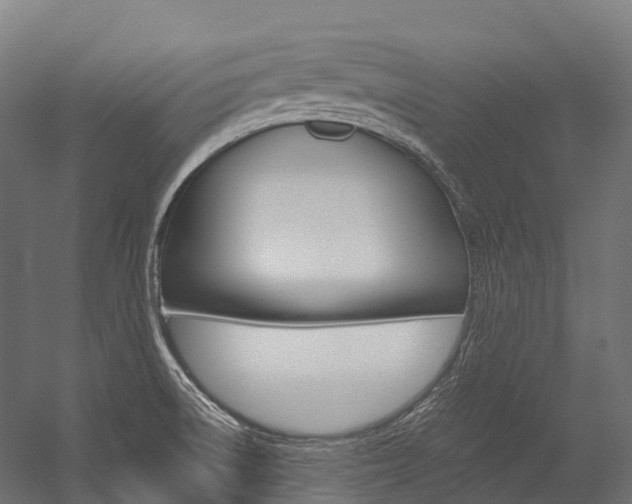 X0000054431522200507290938