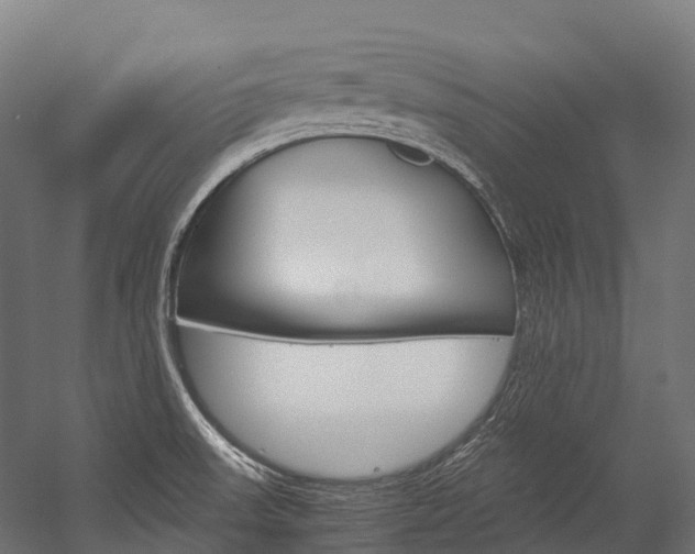 X0000054431523200507290938