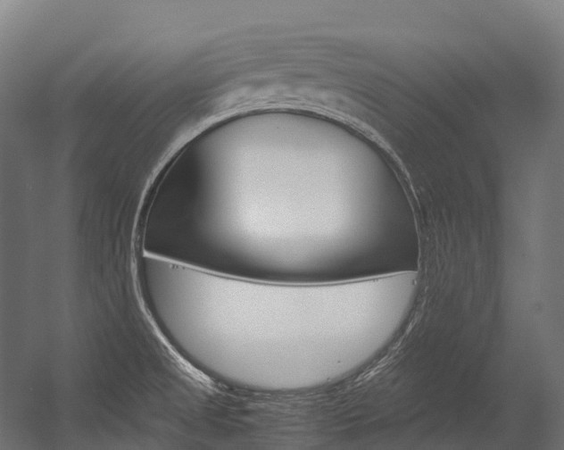 X0000054431525200507290939