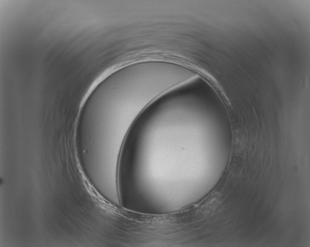 X0000054431530200507290939