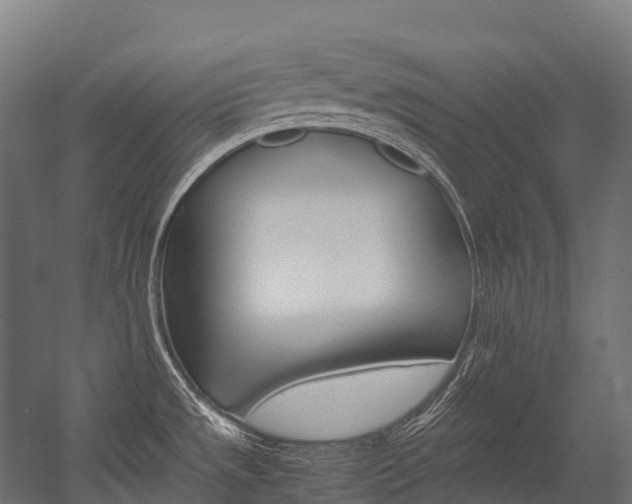 X0000054431533200507290939