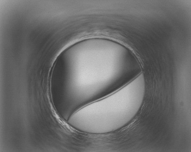 X0000054431534200507290939