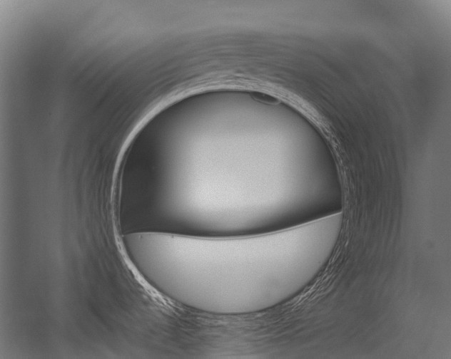X0000054431536200507290939