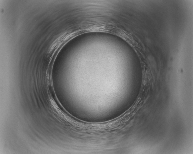 X0000054430002200507291300