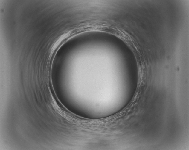 X0000054430003200507291300