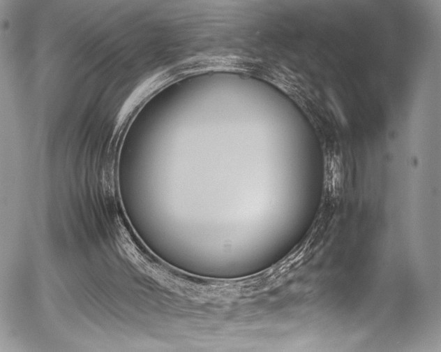 X0000054430004200507291300