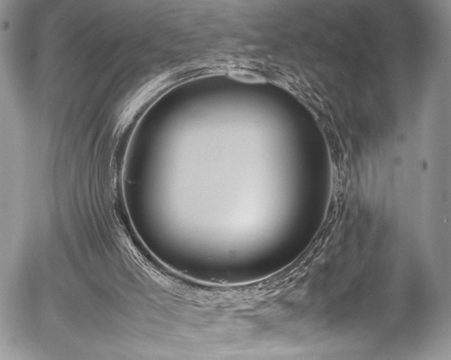 X0000054430005200507291300