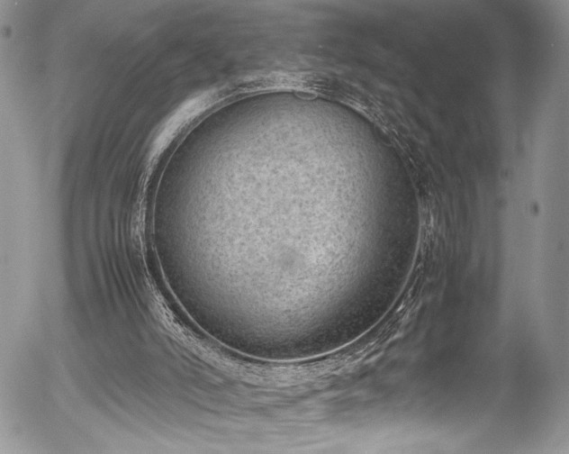 X0000054430006200507291300