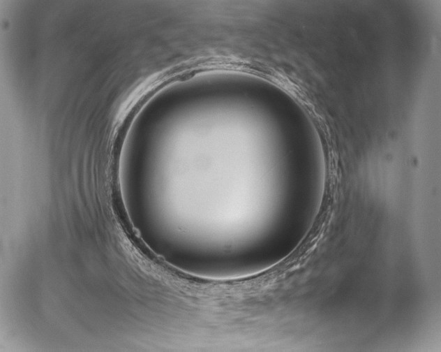 X0000054430007200507291300