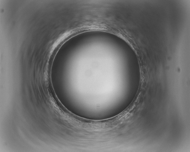 X0000054430008200507291300