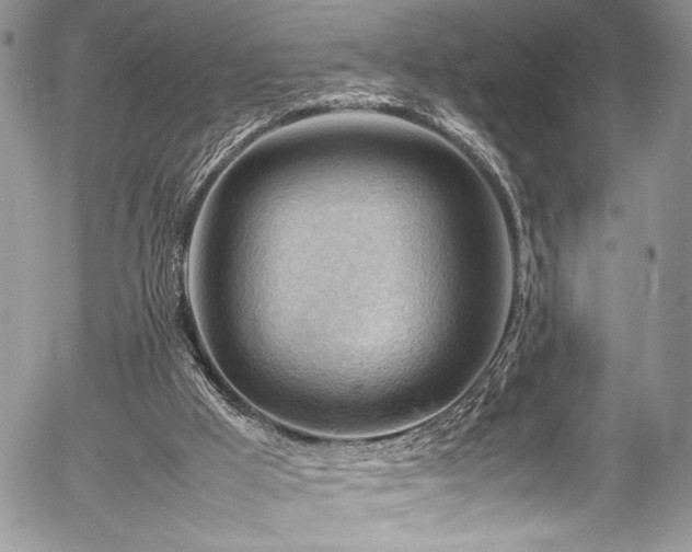 X0000054430009200507291300
