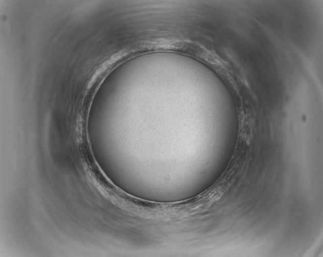 X0000054430012200507291300