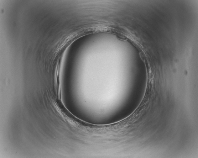 X0000054430013200507291300