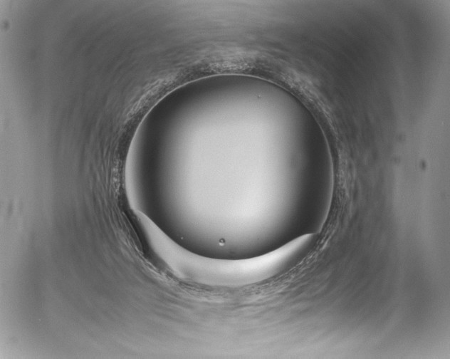 X0000054430017200507291300