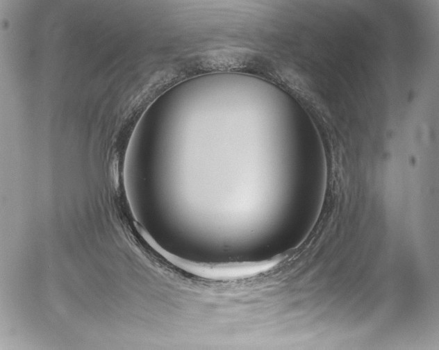 X0000054430021200507291300