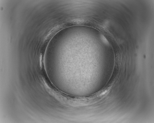 X0000054430024200507291300