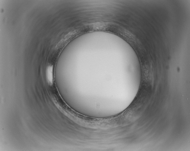 X0000054430028200507291300