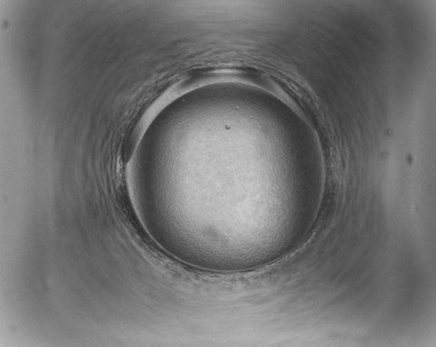 X0000054430029200507291300