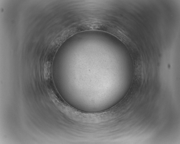 X0000054430030200507291300