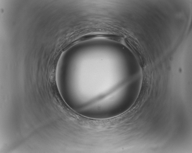 X0000054430033200507291300