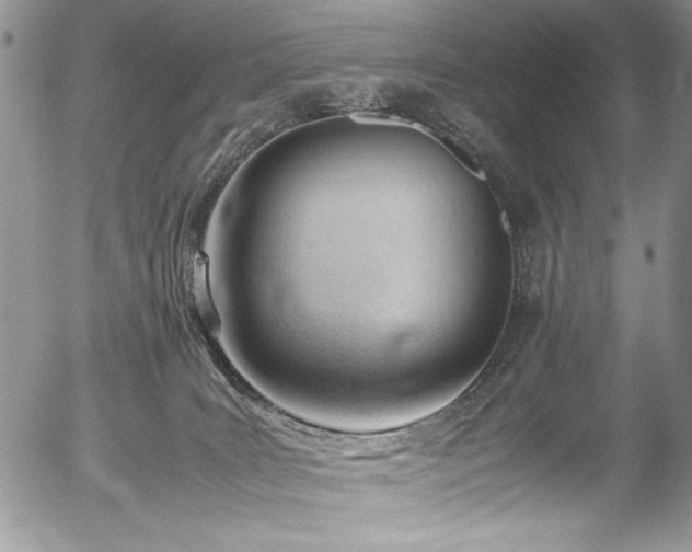 X0000054430035200507291300