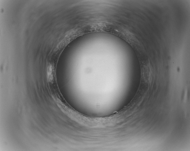 X0000054430038200507291300