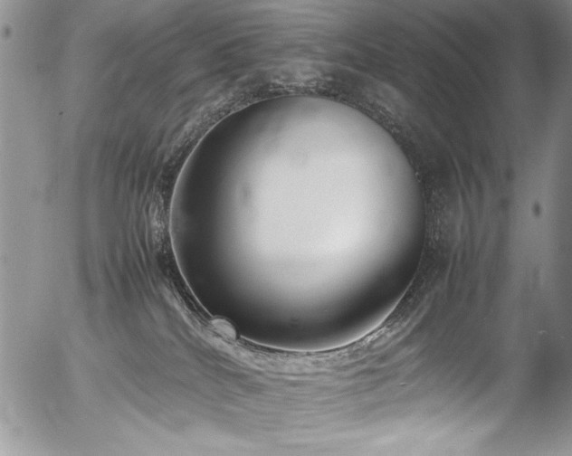 X0000054430040200507291300