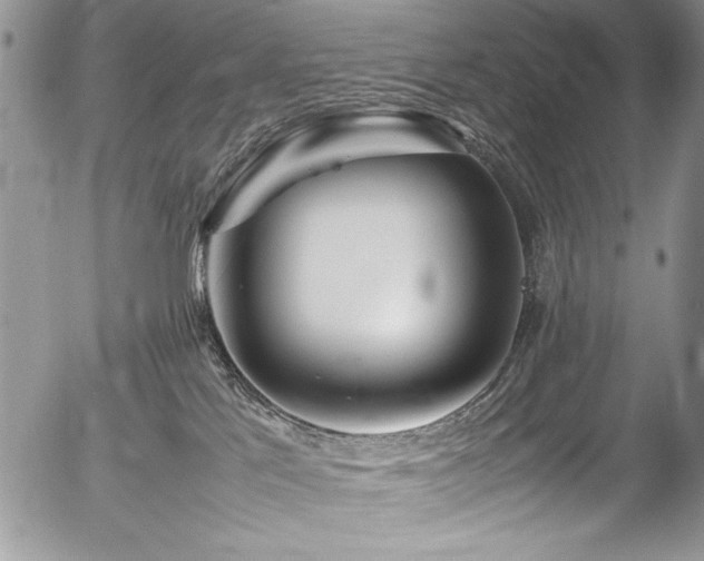 X0000054430041200507291259