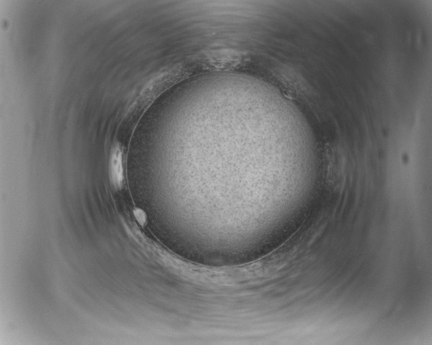 X0000054430042200507291259