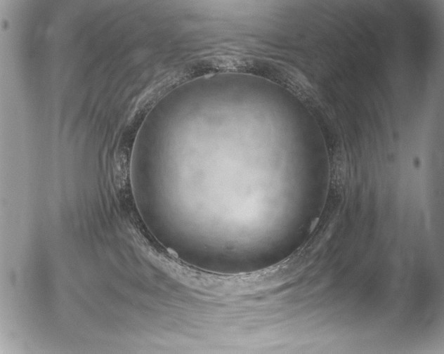 X0000054430043200507291259