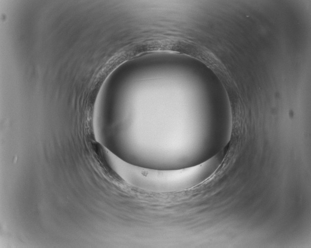 X0000054430045200507291259