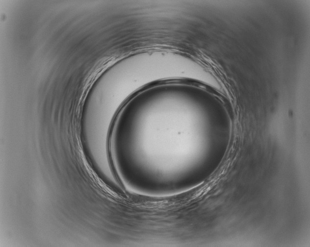 X0000054430049200507291259