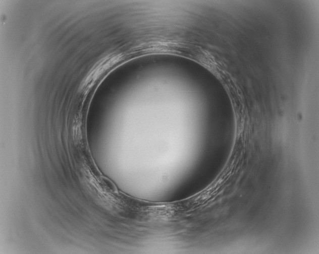 X0000054430050200507291259