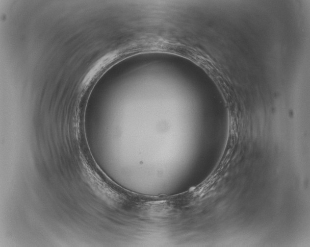 X0000054430054200507291259