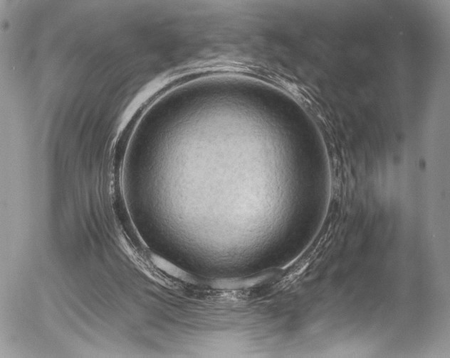 X0000054430056200507291259
