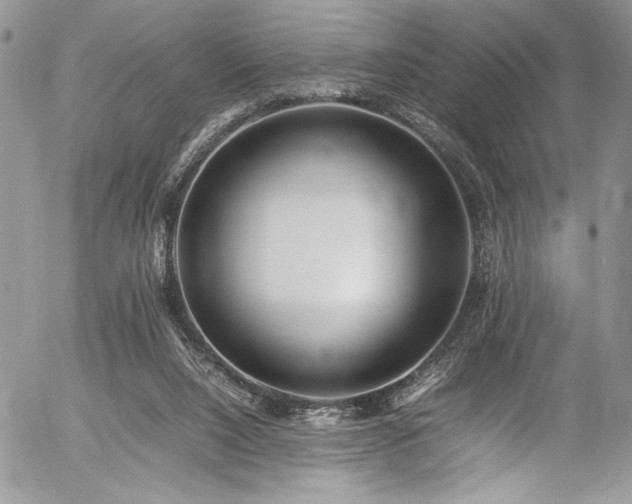 X0000054430064200507291259