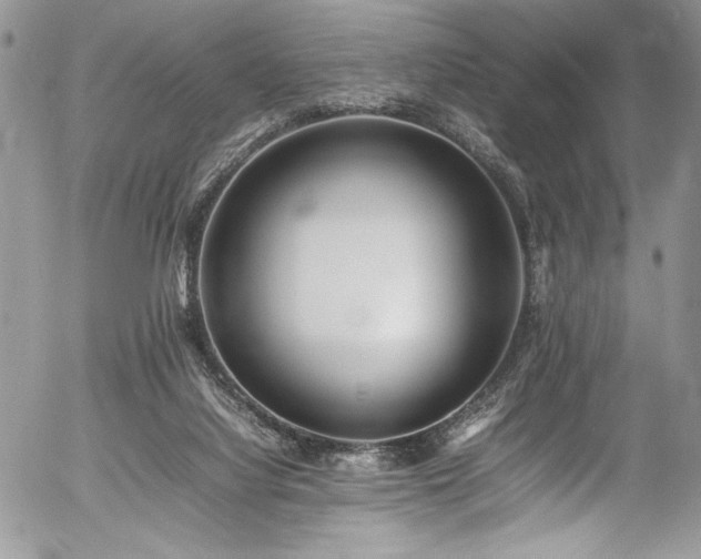 X0000054430068200507291259