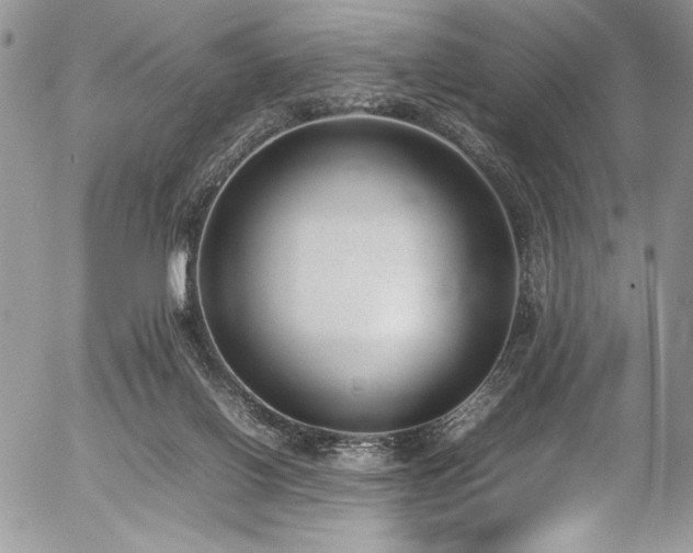 X0000054430070200507291259