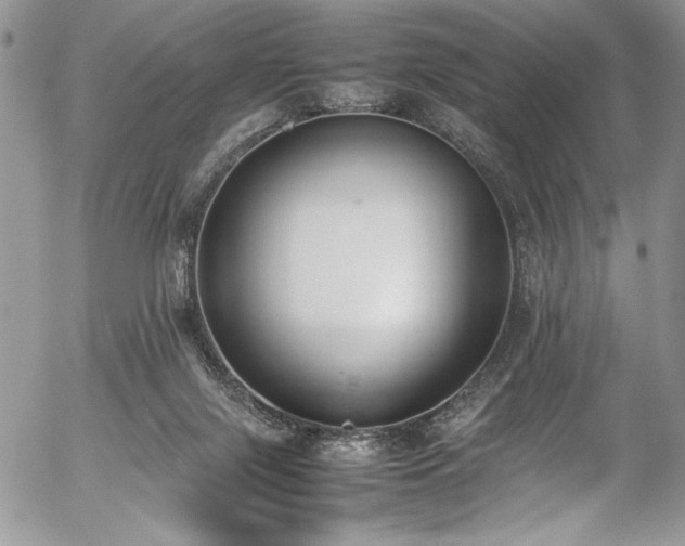 X0000054430071200507291259