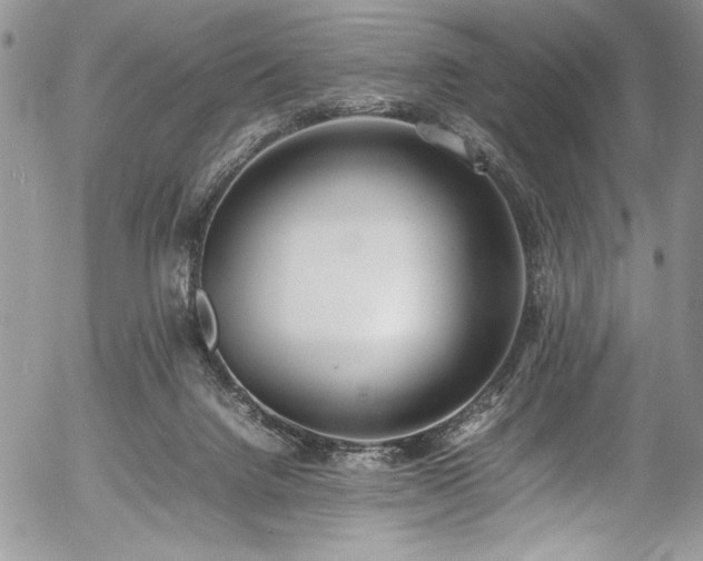 X0000054430072200507291259