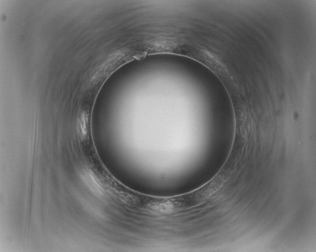 X0000054430075200507291259