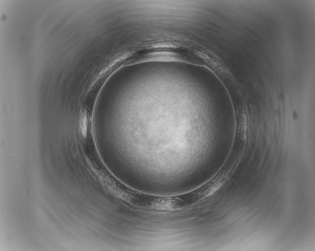 X0000054430076200507291259