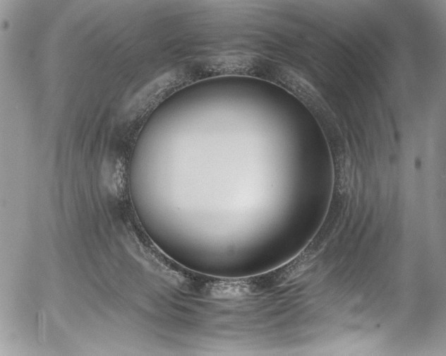 X0000054430077200507291259