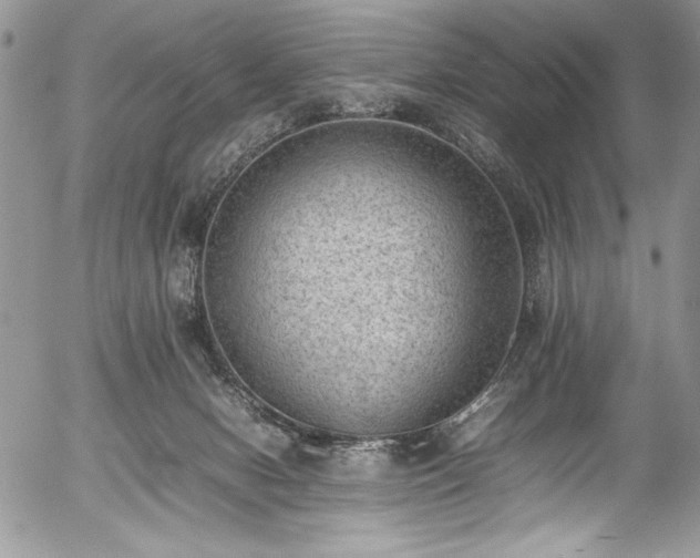 X0000054430078200507291259