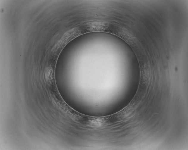 X0000054430079200507291259