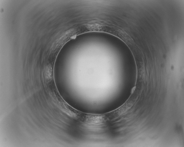 X0000054430081200507291259
