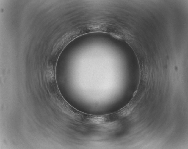 X0000054430085200507291259