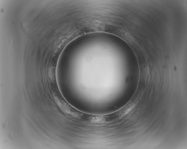 X0000054430088200507291259