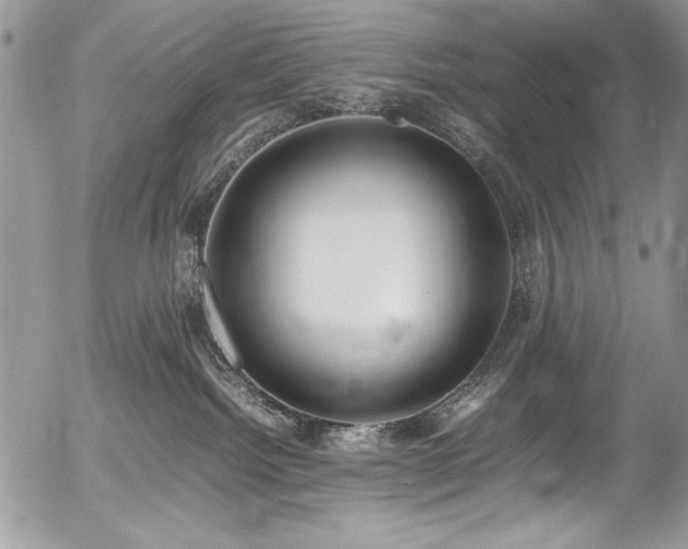 X0000054430092200507291259