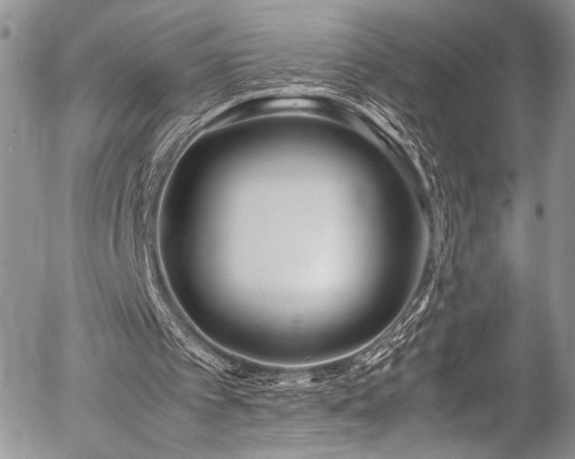 X0000054430097200507291259